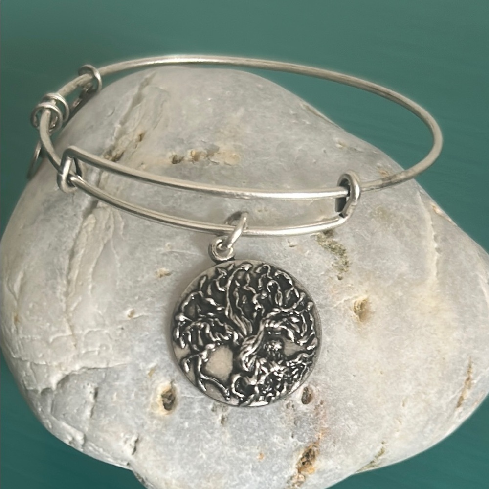 Alex and Ani Tree of Life Expandable Rafaelian Silver Tone Bangle Bracelet